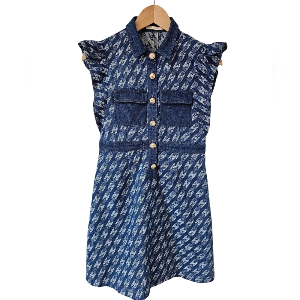 Maje Blue and White Patterned Dress
